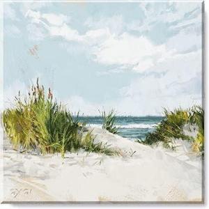 imageSullivans Darren Gygi Beach Dune Canvas Museum Quality Giclee Print Gallery Wrapped Handcrafted in USA 5quot W x 5quot L Multicolored