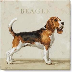 imageSullivans Darren Gygi Beagle Canvas Museum Quality Giclee Print Gallery Wrapped Handcrafted in USA 5quot W x 5quot L Multicolored