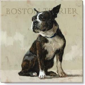 imageSullivans Darren Gygi Boston Terrier Giclee Wall Art Wall Art Canvas Prints Wall Dcor Artwork 5quot L x5 W x1 H