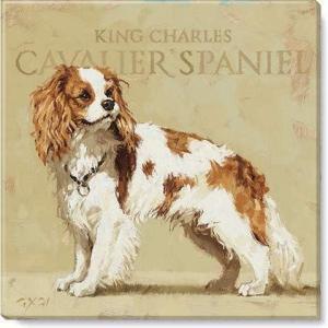 imageSullivans Darren Gygi Cavalier Spaniel Canvas Museum Quality Giclee Print Gallery Wrapped Handcrafted in USA 9quot W x 9quot L Multicolored
