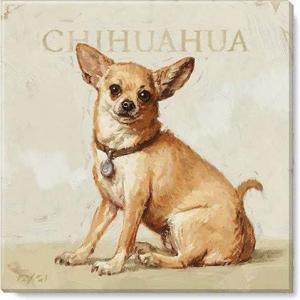 imageSullivans Darren Gygi Chihuahua Canvas Museum Quality Giclee Print Gallery Wrapped Handcrafted in USA 20quot W x 20quot L Multicolored