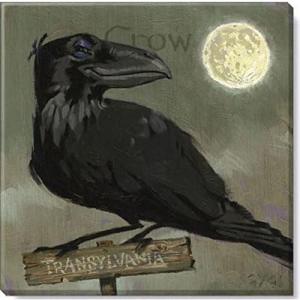 imageSullivans Darren Gygi Crow Canvas Museum Quality Giclee Print Gallery Wrapped Handcrafted in USA 20quot W Black