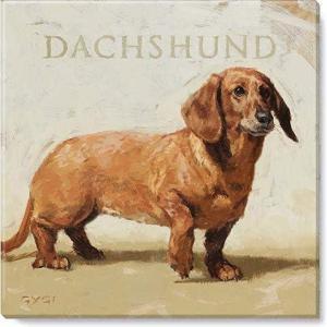 imageSullivans Darren Gygi Dachshund Canvas Museum Quality Giclee Print Gallery Wrapped Handcrafted in USA 9quot W x 9quot L Multicolored