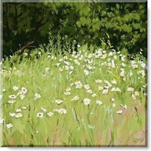 imageSullivans Darren Gygi Daisy Field Canvas Museum Quality Giclee Print Gallery Wrapped Handcrafted in USA 5quot W x 5quot L Multicolored