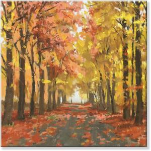 imageSullivans Darren Gygi Fall Path Giclee Wall Art Wall Art Canvas Prints Wall Dcor Artwork 14quot L x14 W x1 H