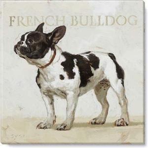 imageSullivans Darren Gygi French Bulldog Canvas Museum Quality Giclee Print Gallery Wrapped Handcrafted in USA 5quot W x 5quot L Multicolored