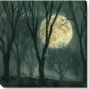 imageSullivans Darren Gygi Full Moon Canvas Museum Quality Giclee Print Gallery Wrapped Handcrafted in USA 9quot W x 9quot L Blue