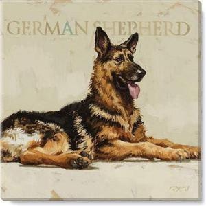 imageSullivans Darren Gygi German Shepherd Canvas Museum Quality Giclee Print Gallery Wrapped Handcrafted in USA 14quot W x 14quot L Multicolored