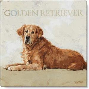 imageSullivans Darren Gygi Golden Retriever Canvas Museum Quality Giclee Print Gallery Wrapped Handcrafted in USA 5quot W x 5quot L Multicolored