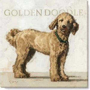 imageSullivans Darren Gygi Goldendoodle Giclee Wall Art Wall Art Canvas Prints Wall Dcor Artwork 5quot L x5 W x1 H
