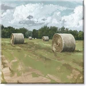 imageSullivans Darren Gygi Hayfield Museum Quality Giclee Print Gallery Wrapped Handcrafted in USA 5quot W x 5quot L Multicolored