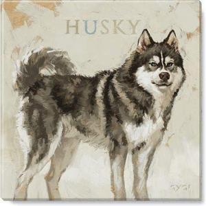 imageSullivans Darren Gygi Husky Canvas Museum Quality Giclee Print Gallery Wrapped Handcrafted in USA 14quot W x 14quot L Multicolored