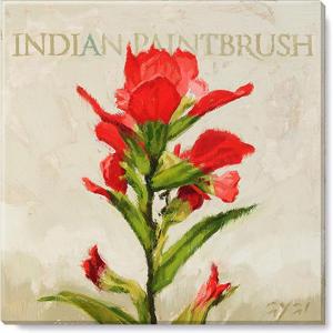 imageSullivans Darren Gygi Indian Paintbrush Giclee Art Wall Art Canvas Prints Wall Dcor Artwork 5quot L x5 W x1 H