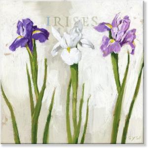 imageSullivans Darren Gygi Iris Trio Giclee Wall Art Wall Art Canvas Prints Wall Dcor Artwork 5quot L x5 W x1 H