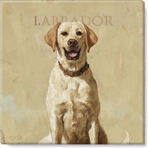 imageSullivans Darren Gygi Labrador Canvas Museum Quality Giclee Print Gallery Wrapped Handcrafted in USA 20quot W x 20quot L Multicolored
