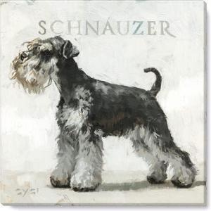 imageSullivans Darren Gygi Miniature Schnauzer Wall Art Wall Art Canvas Prints Wall Dcor Artwork 14quot L x14 W x1 H