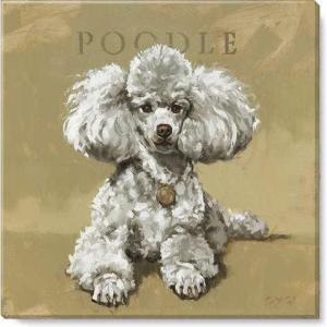 imageSullivans Darren Gygi Poodle Giclee Wall Art Wall Art Canvas Prints Wall Dcor Artwork 5quot L x5 W x1 H