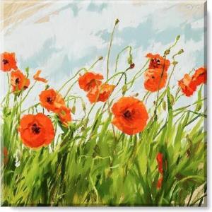 imageSullivans Darren Gygi Poppy Field Canvas Museum Quality Giclee Print Gallery Wrapped Handcrafted in USA 5quot W x 5quot L Multicolored