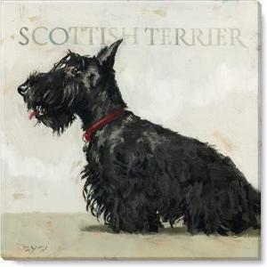 imageSullivans Darren Gygi Scottish Terrier Wall Art Wall Art Canvas Prints Wall Dcor Artwork 5quot L x5 W x1 H