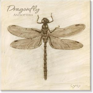 imageSullivans Darren Gygi Sepia Dragonfly Giclee Wall Art Gallery Wrapped Handcrafted in USA Wall Art Wall Decor Home Dcor Handed Painted