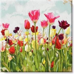 imageSullivans Darren Gygi Tulip Field Canvas Museum Quality Giclee Print Gallery Wrapped Handcrafted in USA 5quot W x 5quot L Multicolored