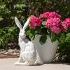 imageRabbit Whitewashed IndoorOutdoor