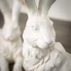 imageRabbit Whitewashed IndoorOutdoor
