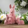 imageSulivans Pink Baby Bunny Figurine Set of 2 Perfect for a Table Centerpiece Mantels and Shelf Decoration Small Statue for Indoor Spring Decor for Home Office PatioPink