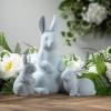 imageSulivans Pink Baby Bunny Figurine Set of 2 Perfect for a Table Centerpiece Mantels and Shelf Decoration Small Statue for Indoor Spring Decor for Home Office PatioBlue