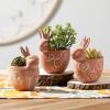 imageSulivans Terracotta Brown Bunny Planter Set of 3 Perfect for a Table Centerpiece Mantels and Shelf Decoration Small Statue for Indoor Spring Decor for Home Office Patio