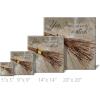 imageSullivans Darren Gygi Inspirational Witchs Broom Canvas Museum Quality Giclee Print Gallery Wrapped Handcrafted in USA 9quot W Brown