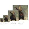 imageSullivans Darren Gygi Moose Canvas Museum Quality Giclee Print Gallery Wrapped Handcrafted in USA 14quot W Brown