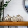 imageSullivans Stoneware Cream Pumpkin Trio Fall Decorative Small Pumpkins Perfect for Halloween Thanksgiving Harvest Decorating for Mantels and Tabletops