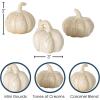 imageSullivans Stoneware Cream Pumpkin Trio Fall Decorative Small Pumpkins Perfect for Halloween Thanksgiving Harvest Decorating for Mantels and Tabletops