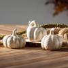 imageSullivans Stoneware Cream Pumpkin Trio Fall Decorative Small Pumpkins Perfect for Halloween Thanksgiving Harvest Decorating for Mantels and Tabletops