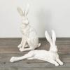 imageRabbit Whitewashed IndoorOutdoor