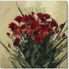 imageSullivans Darren Gygi Mums Canvas Museum Quality Giclee Print Gallery Wrapped Handcrafted in USA 20quot W x 20quot L Red