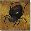 imageSullivans Darren Gygi Spider Canvas Museum Quality Giclee Print Gallery Wrapped Handcrafted in USA 20quot W Black