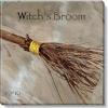 imageSullivans Darren Gygi Witchs Broom Canvas Museum Quality Giclee Print Gallery Wrapped Handcrafted in USA 9quot W Brown