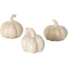 imageSullivans Stoneware Cream Pumpkin Trio Fall Decorative Small Pumpkins Perfect for Halloween Thanksgiving Harvest Decorating for Mantels and Tabletops