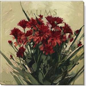 imageSullivans Darren Gygi Mums Canvas Museum Quality Giclee Print Gallery Wrapped Handcrafted in USA 20quot W x 20quot L Red