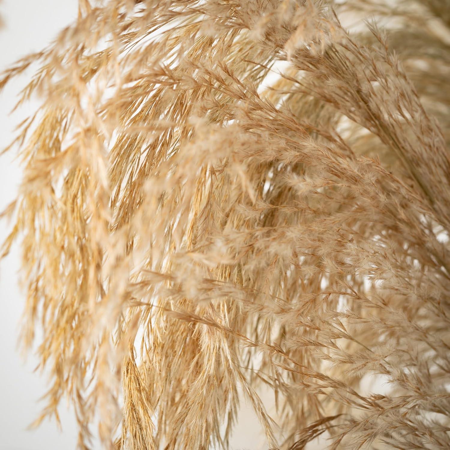 imageSullivans 64quotH Towering Potted Plume Grass Multicolored Everyday Home Decor Artificial Plants Indoor Artificial Greenery Room Kitchen Office ampamp Bathroom Dcor Fake Plants