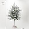 imageSullivans 4 Foot Snowy Flocked Pine Tree in Bag Christmas Dcor Trees Holiday Decor Christmas Tabletop Trees Mantle Decor Christmas Decorations