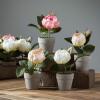 imageSullivans 6quot Artificial Potted Rose Crate of 12 Everyday Home Decor Artificial Plants Indoor Artificial Greenery Room Kitchen Office ampamp Bathroom Dcor Fake Plants
