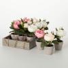 imageSullivans 6quot Artificial Potted Rose Crate of 12 Everyday Home Decor Artificial Plants Indoor Artificial Greenery Room Kitchen Office ampamp Bathroom Dcor Fake Plants