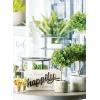 imageSullivans Artificial Double Boxwood Topiary 21quot H Green Everyday Home Decor Artificial Plants Indoor Artificial Greenery Room Kitchen Office ampamp Bathroom Dcor Fake Plants