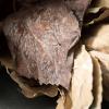 imageSullivans Artificial Dried Hydrangea Leaf Set of 2 43quot H Brown