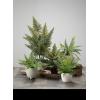 imageSullivans Artificial Fern in Ball 11quot H Green Everyday Home Decor Artificial Plants Indoor Artificial Greenery Room Kitchen Office ampamp Bathroom Dcor Fake Plants