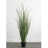 imageSullivans Faux Onion Grass Potted Indoor Artificial Greenery Dcor