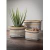 imageSullivans Faux Potted Aloe Indoor Artificial Greenery Dcor